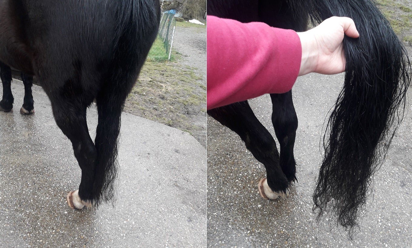 Jack Schweif nach Anwendung 2Fotos