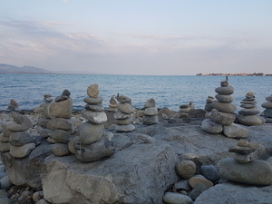 &Uuml;ber Sendfelds Manufaktur f&uuml;r Tierpflegeprodukte